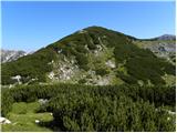 Planina Podvežak - Kocbekov dom na Korošici